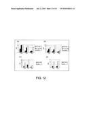 METHOD FOR PRODUCTION OF DENDRITIC CELL diagram and image