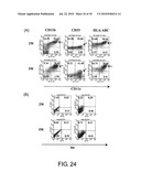 METHOD FOR PRODUCTION OF DENDRITIC CELL diagram and image