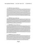 hTERT GENE EXPRESSION REGULATORY GENE diagram and image