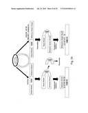 hTERT GENE EXPRESSION REGULATORY GENE diagram and image