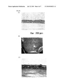 METHOD FOR ISOLATION OF CELL, SERUM-FREE CULTURE MEDIUM FOR CELL, AND METHOD FOR CULTURE OF CELL diagram and image