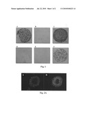 Biomaterial based on a hydrophilic polymeric carrier diagram and image