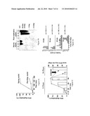 USE OF A CELLULAR EXTRACT FOR A MITOTIC REMODELING OF CHROMOSOMES diagram and image