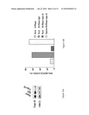 USE OF A CELLULAR EXTRACT FOR A MITOTIC REMODELING OF CHROMOSOMES diagram and image