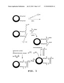 NANOCRYSTALS HAVING POLYNUCLEOTIDE STRANDS AND THEIR USE TO FORM DENDRIMERS IN A SIGNAL AMPLIFICATION SYSTEM diagram and image