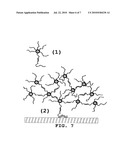 NANOCRYSTALS HAVING POLYNUCLEOTIDE STRANDS AND THEIR USE TO FORM DENDRIMERS IN A SIGNAL AMPLIFICATION SYSTEM diagram and image