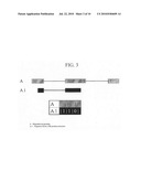 USE OF A TERNARY MATRIX AS AN ADAPTER FOR MOLECULAR BIOLOGICAL INFORMATION, AND A METHOD TO SEARCH AND TO VISUALIZE MOLECULAR BIOLOGICAL INFORMATION STORED IN AT LEAST ONE DATABASE diagram and image