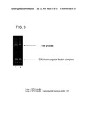 MICROARRAY SYSTEMS AND METHODS FOR IDENTIFYING DNA-BINDING PROTEINS diagram and image