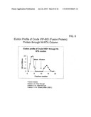 TARGETED FUSION PROTEINS FOR CANCER THERAPY diagram and image