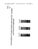 TARGETED FUSION PROTEINS FOR CANCER THERAPY diagram and image