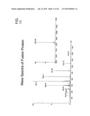 TARGETED FUSION PROTEINS FOR CANCER THERAPY diagram and image