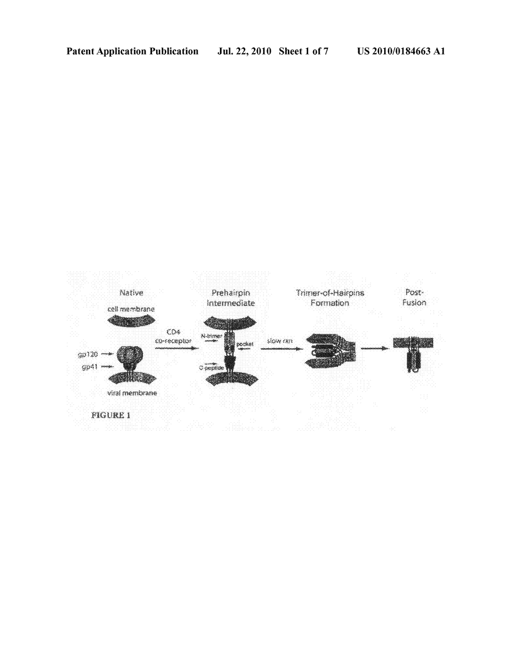 Methods and Compositions Related to Inhibition of Viral Entry - diagram, schematic, and image 02