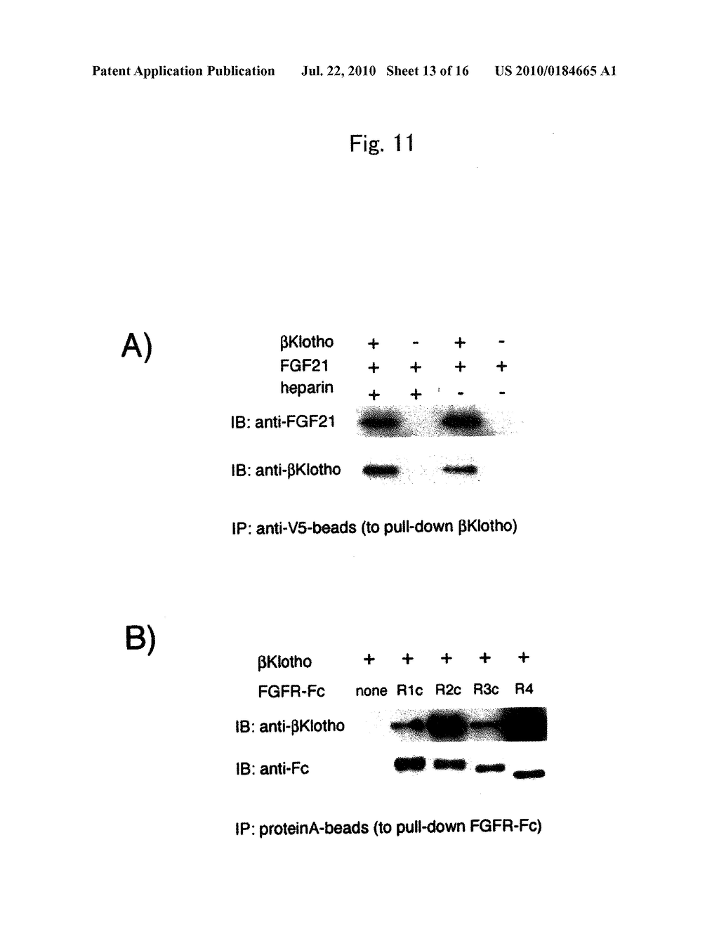 METHOD FOR ACTIVATING RECEPTOR BY COFACTOR AND METHOD FOR UTILIZING LIGAND ACTIVITY - diagram, schematic, and image 14