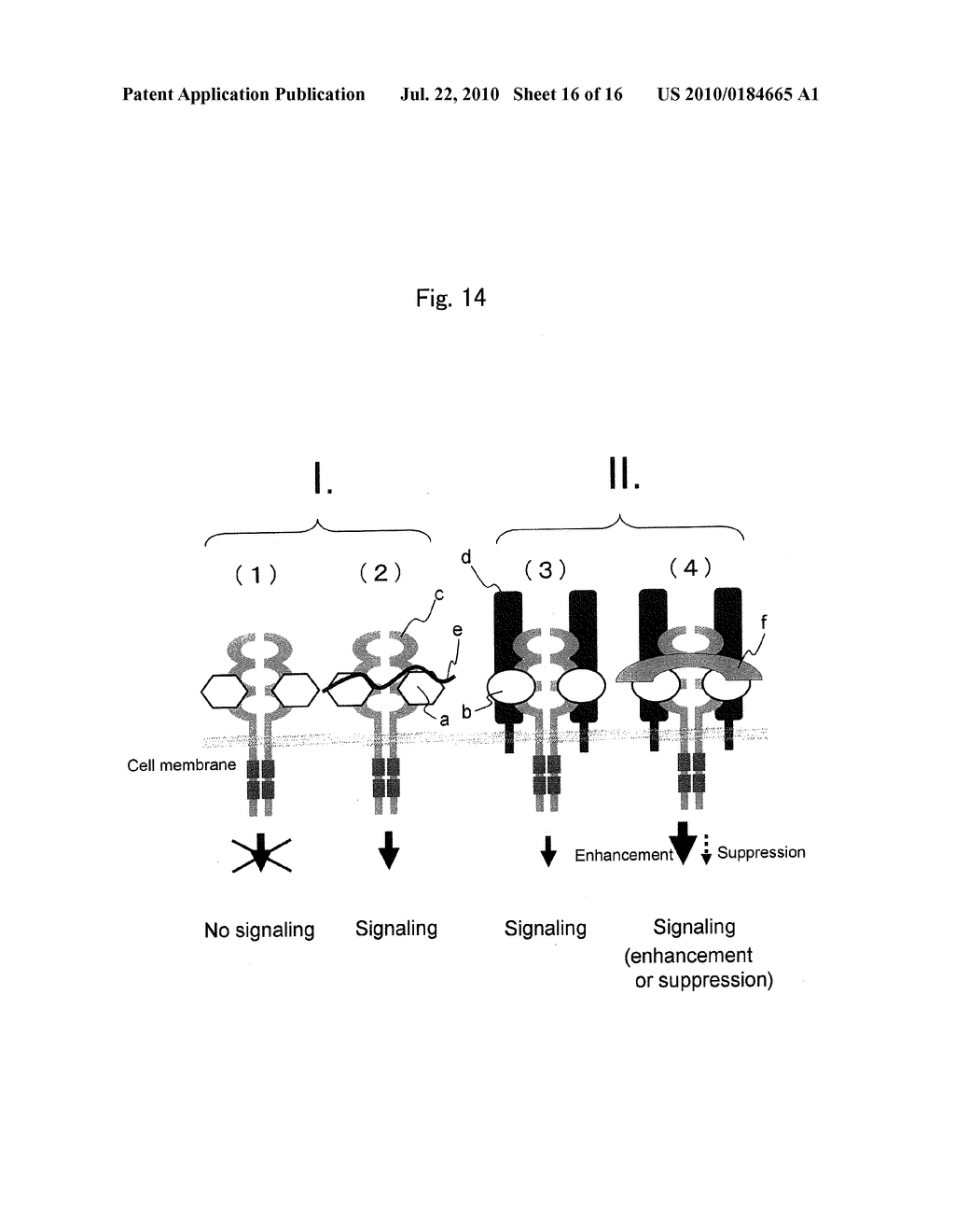 METHOD FOR ACTIVATING RECEPTOR BY COFACTOR AND METHOD FOR UTILIZING LIGAND ACTIVITY - diagram, schematic, and image 17