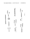 Compositions and Methods for Double-Targeting Virus Infections and Targeting Cancer Cells diagram and image