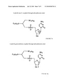 Compositions and Methods for Double-Targeting Virus Infections and Targeting Cancer Cells diagram and image