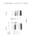 USE OF PARTHENOLIDE DERIVATIVES AS ANTILEUKEMIC AND CYTOTOXIC AGENTS diagram and image