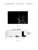 PHTHALIMIDE DERIVATIVES THAT INFLUENCE CELLULAR VESICULAR SYSTEMS, PHARMACEUTICAL COMPOSITIONS, AND USE THEREOF diagram and image