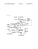 FXA INHIBITORS WITH CYCLIC AMIDINES AS P4 SUBUNIT, PROCESSES FOR THEIR PREPARATIONS, AND PHARMACEUTICAL COMPOSITIONS AND DERIVATIVES THEREOF diagram and image