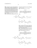 FXA INHIBITORS WITH CYCLIC AMIDINES AS P4 SUBUNIT, PROCESSES FOR THEIR PREPARATIONS, AND PHARMACEUTICAL COMPOSITIONS AND DERIVATIVES THEREOF diagram and image