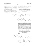 FXA INHIBITORS WITH CYCLIC AMIDINES AS P4 SUBUNIT, PROCESSES FOR THEIR PREPARATIONS, AND PHARMACEUTICAL COMPOSITIONS AND DERIVATIVES THEREOF diagram and image