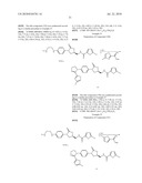 FXA INHIBITORS WITH CYCLIC AMIDINES AS P4 SUBUNIT, PROCESSES FOR THEIR PREPARATIONS, AND PHARMACEUTICAL COMPOSITIONS AND DERIVATIVES THEREOF diagram and image