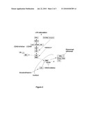 INHIBITORS OF PROTEIN KINASES diagram and image