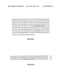 ALLELIC POLYMORPHISM ASSOCIATED WITH DIABETES diagram and image