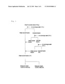 Novel Carboxylic Acid and Antidepressant Composition Containing the Same as Active Ingredient diagram and image