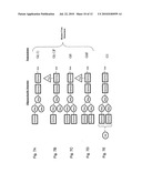 Polypeptide Variants diagram and image