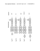 Polypeptide Variants diagram and image