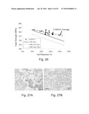 HIGH STRENGTH THIN CAST STRIP PRODUCT AND METHOD FOR MAKING THE SAME diagram and image