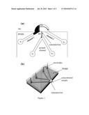 NANOFLUIDIC PRECONCENTRATION DEVICE IN AN OPEN ENVIRONMENT diagram and image