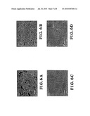 MECHANICALLY ROBUST, ELECTRICALLY CONDUCTIVE ULTRALOW-DENSITY CARBON NANOTUBE-BASED AEROGELS diagram and image