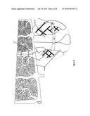 Wind resistant hedgerow diagram and image