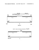 High Density Photodiodes diagram and image