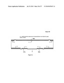 High Density Photodiodes diagram and image