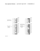 Scalable Router-Switch diagram and image