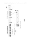 EFFICIENTLY STORING TRANSPORT STREAMS diagram and image