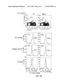 Novel Strategies for Improved Cancer Vaccines diagram and image