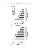 Plant Recombinant Human CTLA4IG and a Method for Producing the Same diagram and image