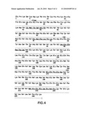 MOLECULES WITH EXTENDED HALF-LIVES, COMPOSITIONS AND USES THEREOF diagram and image