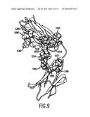 MOLECULES WITH EXTENDED HALF-LIVES, COMPOSITIONS AND USES THEREOF diagram and image