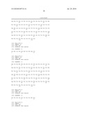 MOLECULES WITH EXTENDED HALF-LIVES, COMPOSITIONS AND USES THEREOF diagram and image