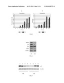 PHARMACEUTICAL COMPOSITION AND PHARMACEUTICAL KIT FOR THE TREATMENT OF HEPATOCELLULAR CARCINOMA diagram and image