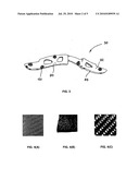 FIBER REINFORCED ARTICLE AND METHOD OF MAKING SAME diagram and image