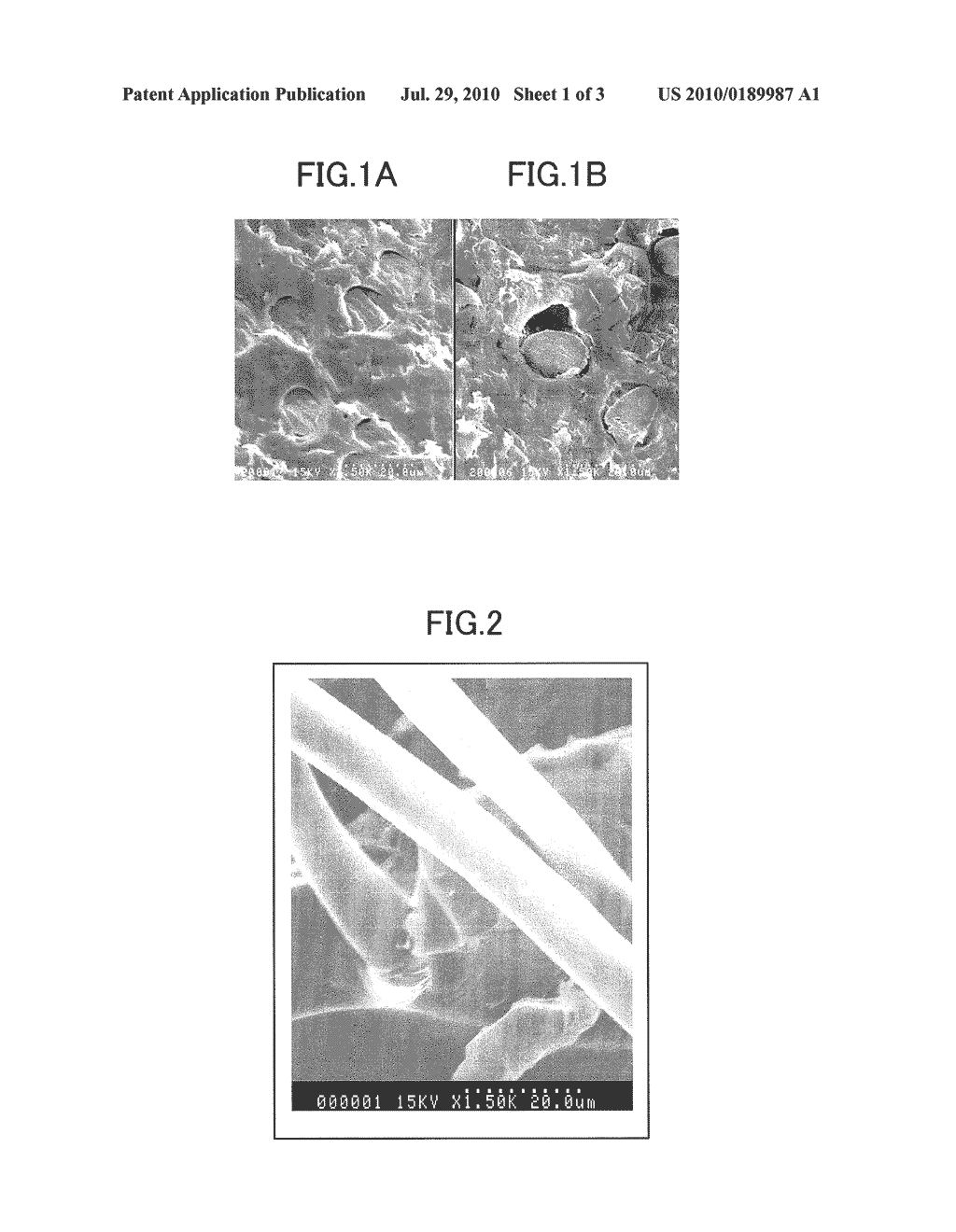 INJECTION-MOLDED ARTICLE OF A PET FIBER-REINFORCED POLYLACTIC ACID RESIN AND MANUFACTURING METHOD FOR THE SAME - diagram, schematic, and image 02