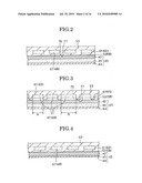 Foamed molding with soft insert component and its molding method diagram and image