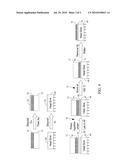 METAL BONDED NANOTUBE ARRAY diagram and image