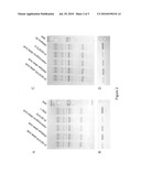 Development of low allergen soybean seeds using molecular markers for the P34 allele diagram and image